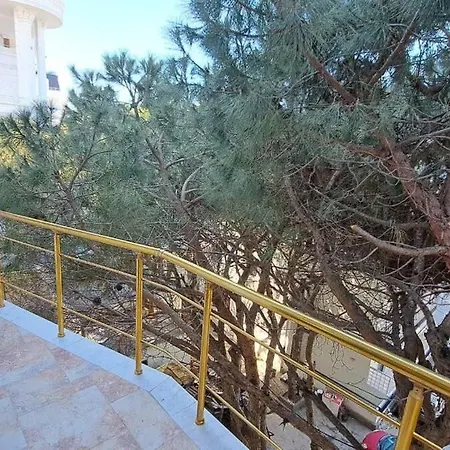 Ocean Bloom Escape B62 Golem (Tirana)
